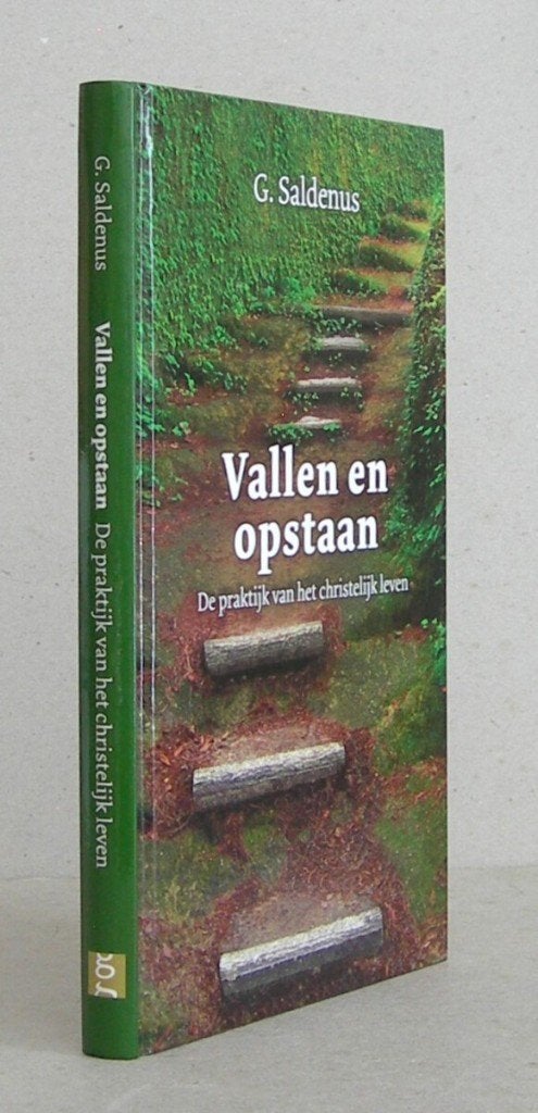 G. Saldenus: De weg van troost, G. Saldenus, Christendom | Protestants, Ophalen of Verzenden, Zo goed als nieuw