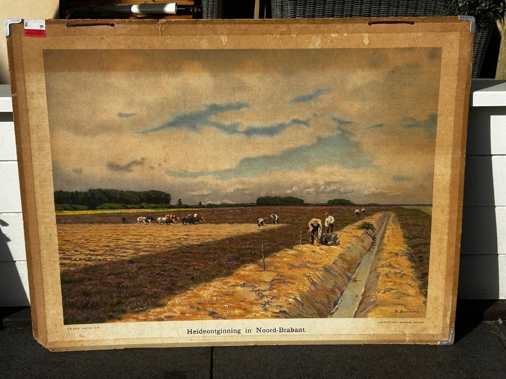 Heideontginning in Noord-Brabant, Antiek en Kunst, Ophalen of Verzenden, Aardrijkskunde