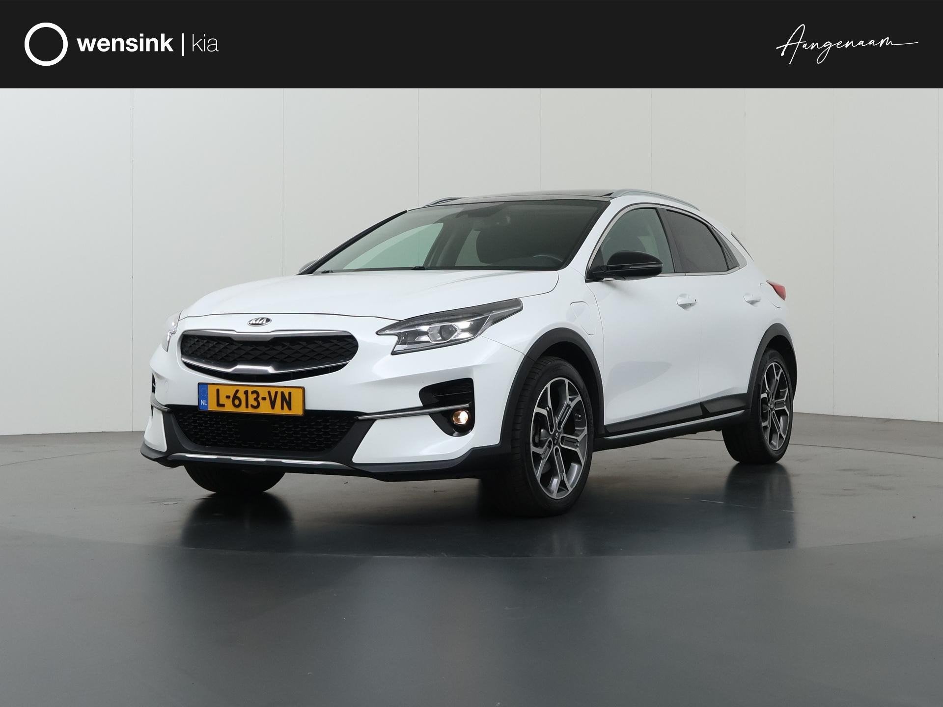 Kia XCeed 1.6 GDi PHEV ExecutiveLine | Panoramadak | Lederen