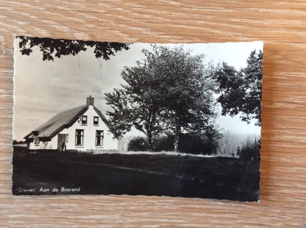 Diever, Aan de Bosrand, Ophalen of Verzenden, 1960 tot 1980, Gelopen, Drenthe