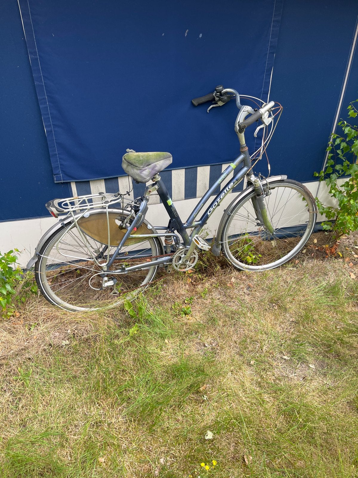 Gazelle damesfiets met versnellingen, Fietsen en Brommers, Ophalen, Velgrem, Versnellingen, Gazelle