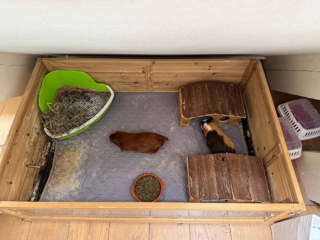 Ruim houten caviaverblijf / binnenhok inclusief accessoires, Dieren en Toebehoren, Knaagdieren en Konijnen | Hokken en Kooien