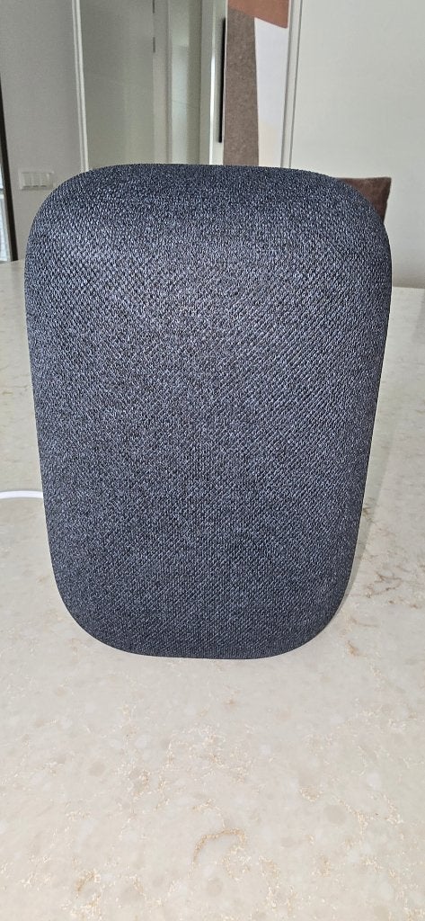 Google Home Nest speaker