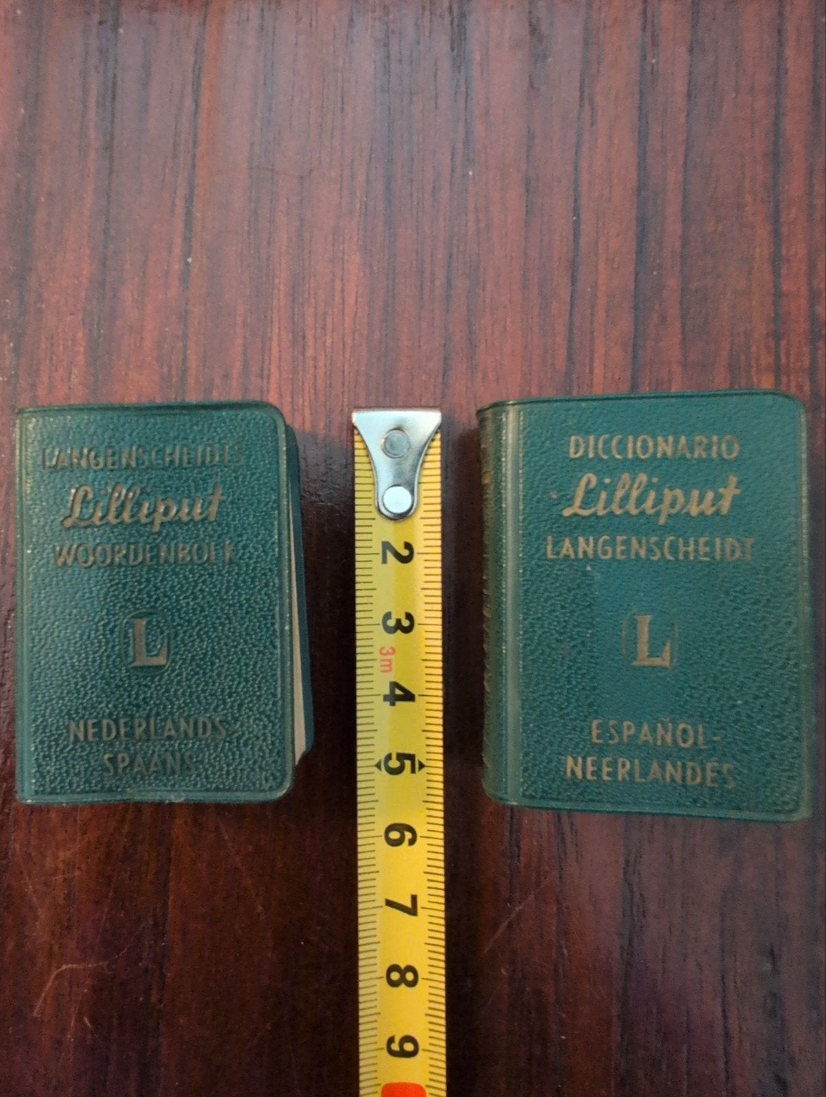 Langenscheidt Lilliput Woordenboeken Nederlands-Spaans, Ophalen of Verzenden, Gelezen, Non-fictie