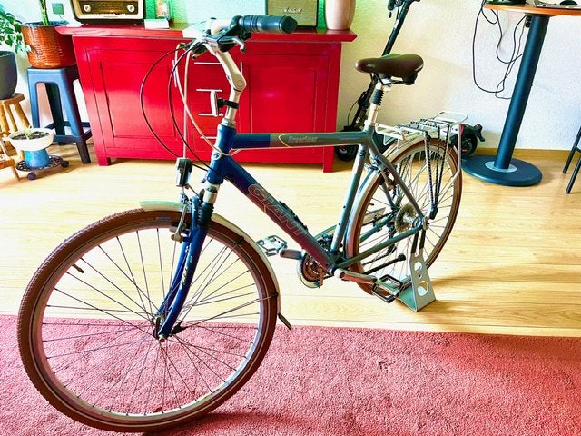 Giant Freerider /size L, Fietsen en Brommers, Ophalen, 28 inch, Vering, Velgrem