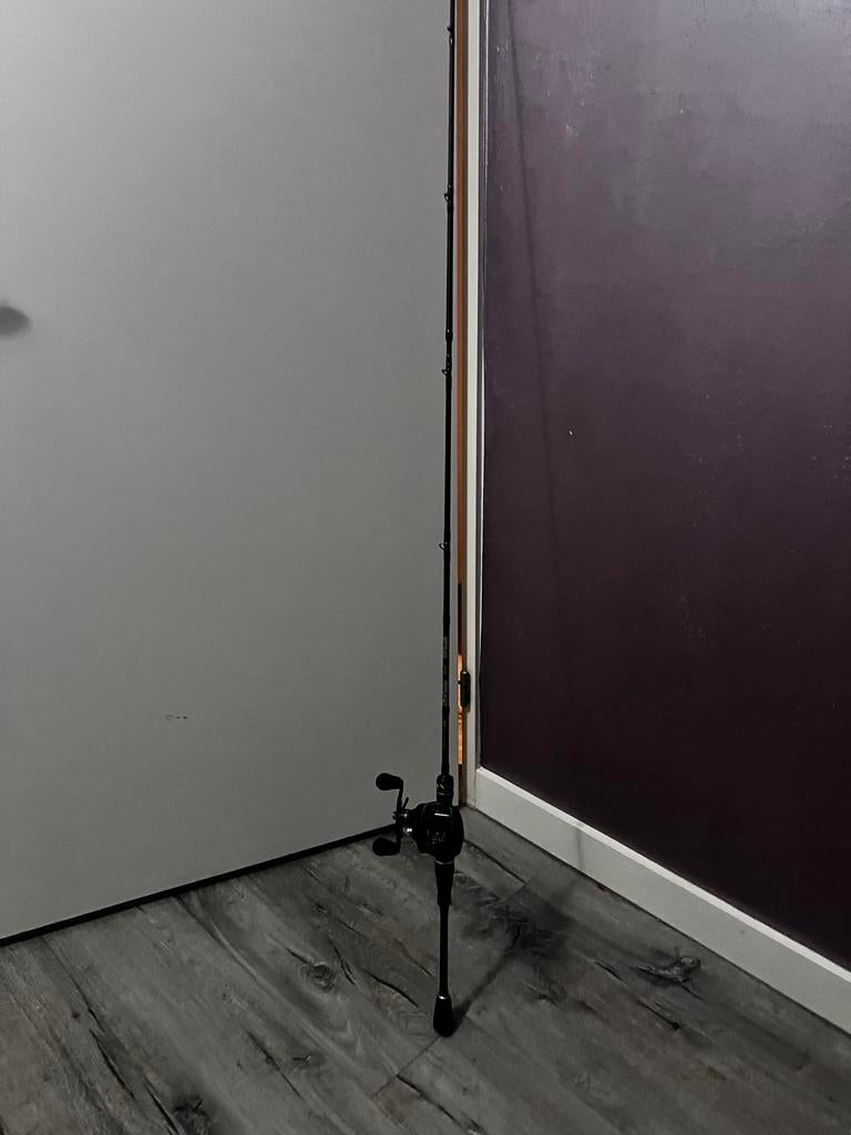 Bison S2 Baitcasting Hengel met Reel - Zo goed als nieuw, Ophalen of Verzenden, Nieuw, Complete hengel