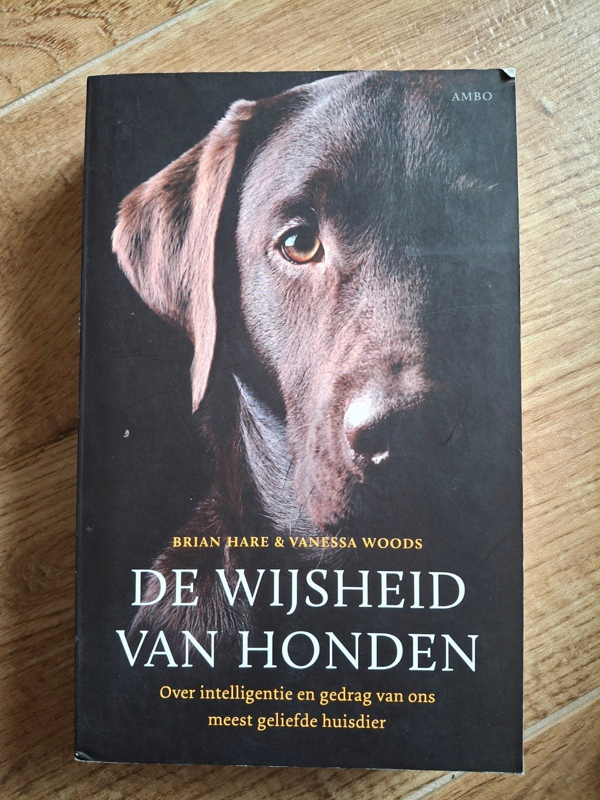 Brian Hare - De wijsheid van de honden, Brian Hare; Vanessa Woods, Honden, Ophalen of Verzenden, Zo goed als nieuw