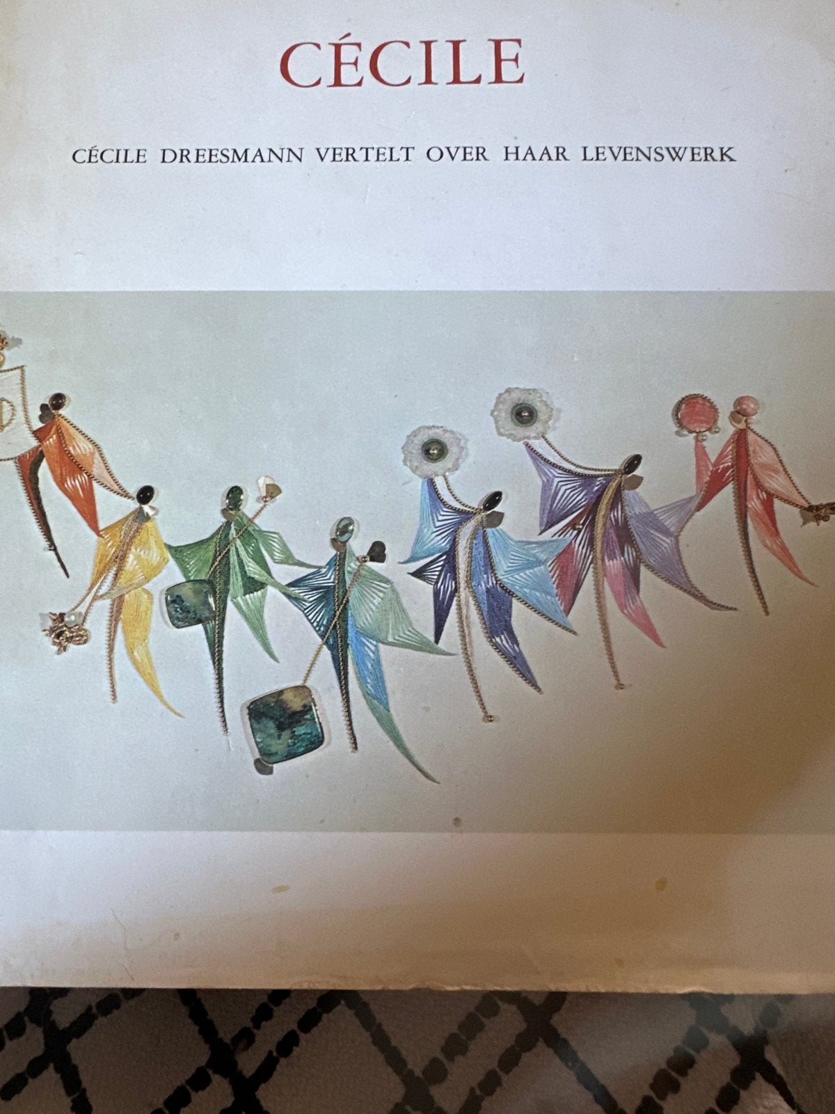 Cécile Dreesmann - Over haar levenswerk, Ophalen of Verzenden, Zo goed als nieuw