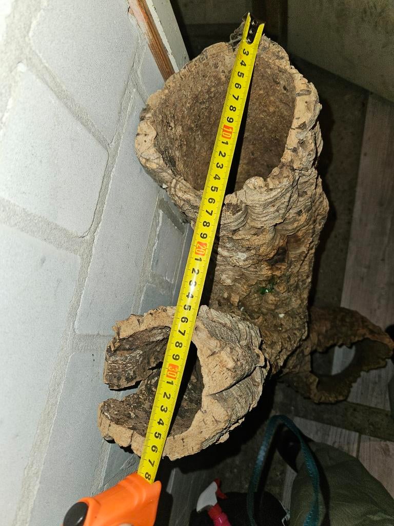 Terra tree cave, Dieren en Toebehoren, Ophalen