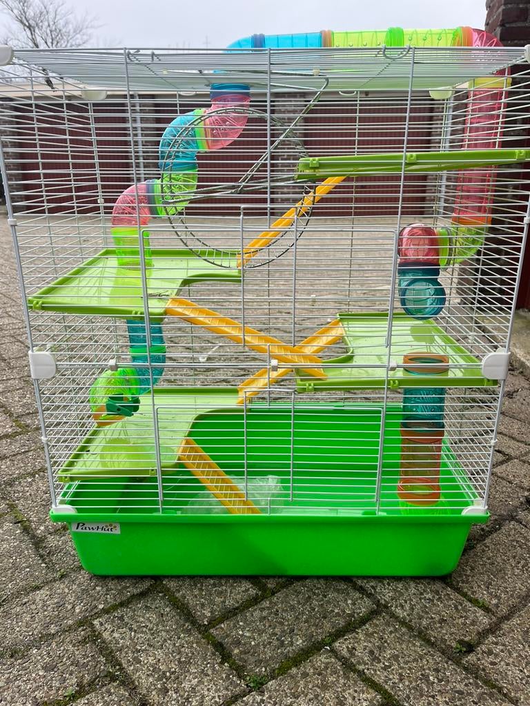 Kleine knaagdier kooi, Dieren en Toebehoren, Knaagdieren en Konijnen | Hokken en Kooien, Minder dan 60 cm, Kooi, Minder dan 75 cm