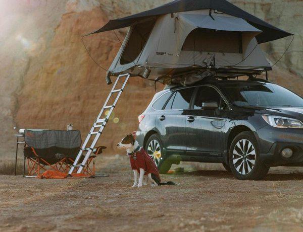 Daktent Thule Tepui ayer 2 TE HUUR €150 per week!, Caravans en Kamperen, Tenten, Ophalen of Verzenden, Zo goed als nieuw, Tot en met 2