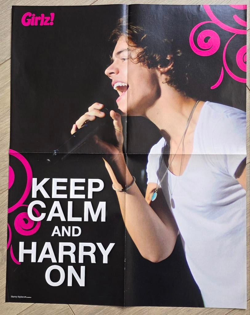 4 posters Harry Styles, Verzamelen, Posters, Ophalen of Verzenden, Zo goed als nieuw, A1 t/m A3, Muziek