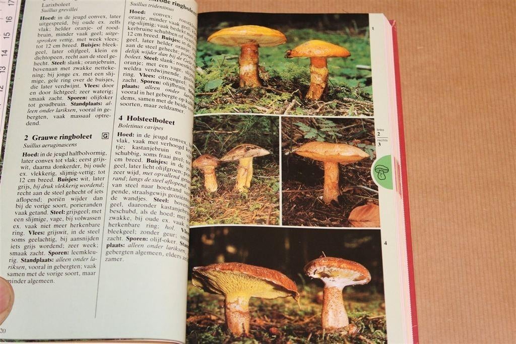 Paddestoelen — Geïllustreerde Veldgids, Boeken, Natuur, Ophalen of Verzenden, Gelezen, Natuur algemeen