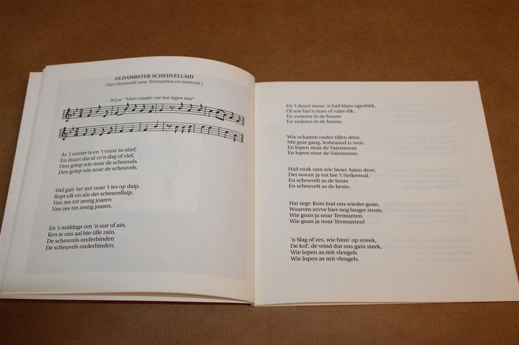 Laiden van \'t Oldambt — D.S. Hovinga — Gedichten [1998], Ophalen of Verzenden, Gelezen
