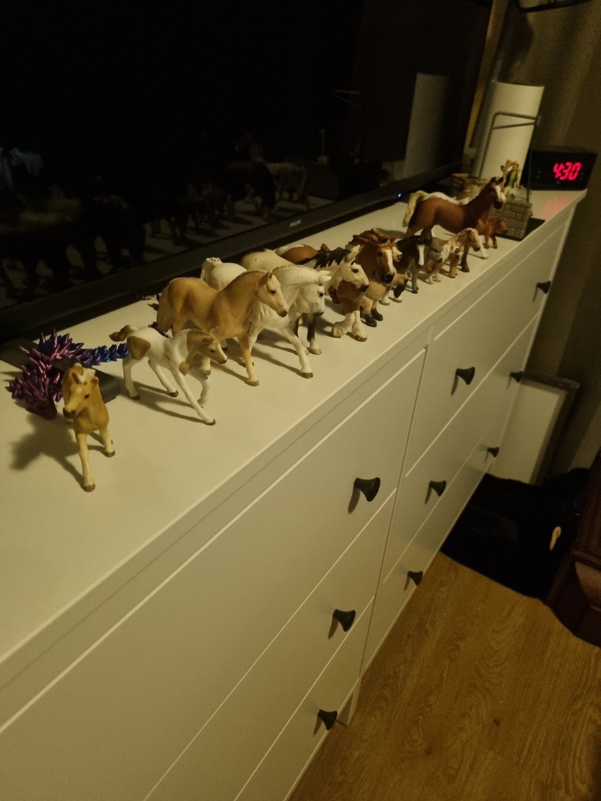 Paarden, Ophalen