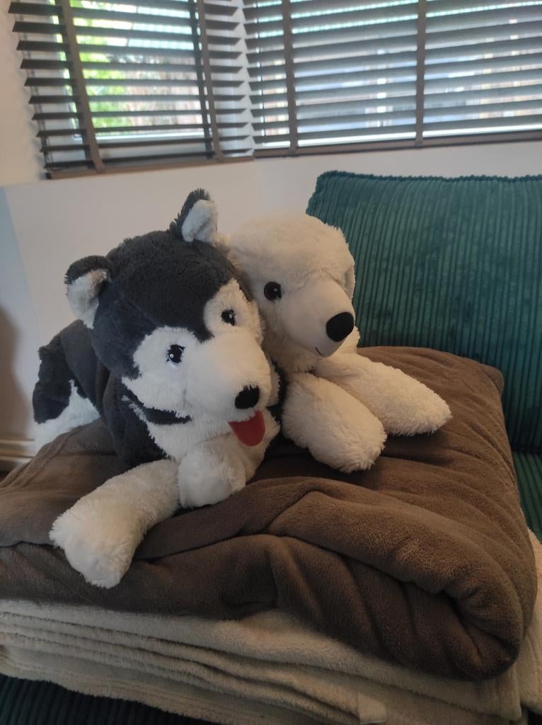 Grote knuffels: Husky en IJsbeer - Gebruikt maar netjes, Gebruikt, Grijs, Groot (groter dan 80 cm), Hond