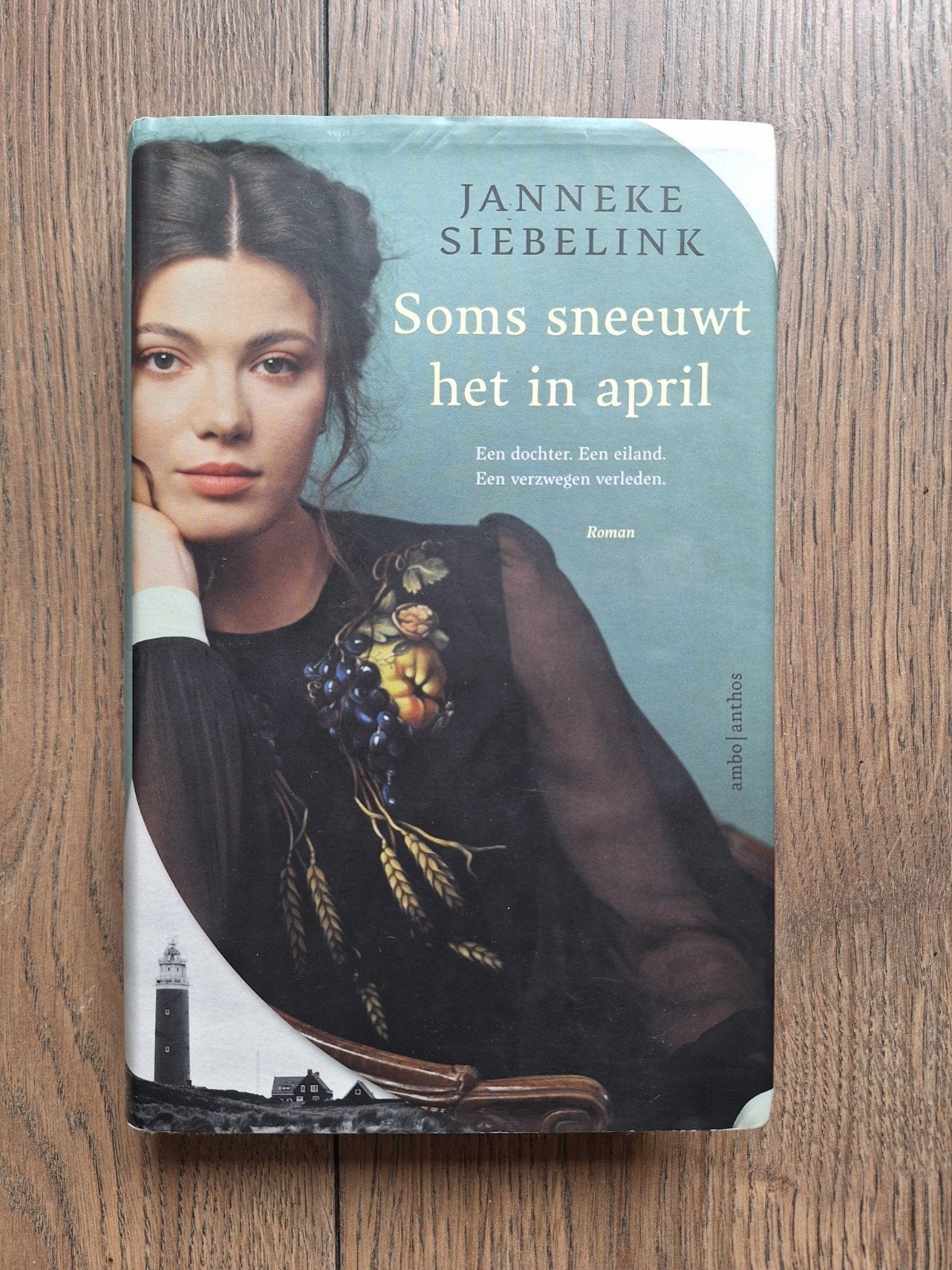 Janneke Siebelink - Soms sneeuwt het in april Roman, Ophalen of Verzenden, Gelezen, Janneke Siebelink, Nederland