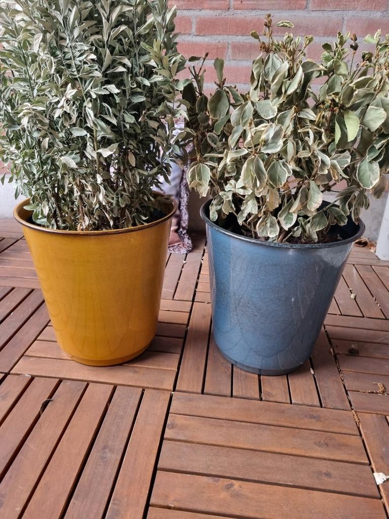 Twee mooie, goede bloempotten. Geel en blauw. Ook per stuk, Rond, Ophalen of Verzenden, Zo goed als nieuw, Aardewerk