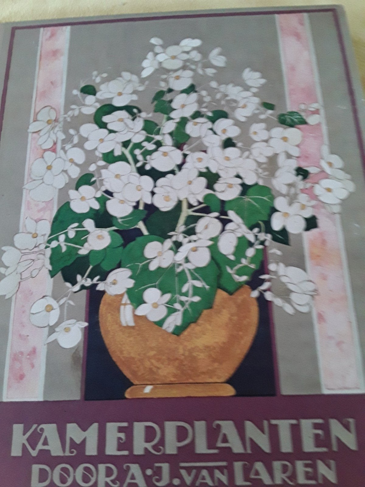 kamerplanten,Aj van laren, Ophalen of Verzenden