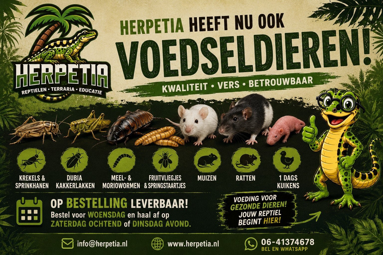 Nieuw! Voedseldieren voor reptielen | insecten ratten muizen, Ophalen, Nieuw, Overige typen