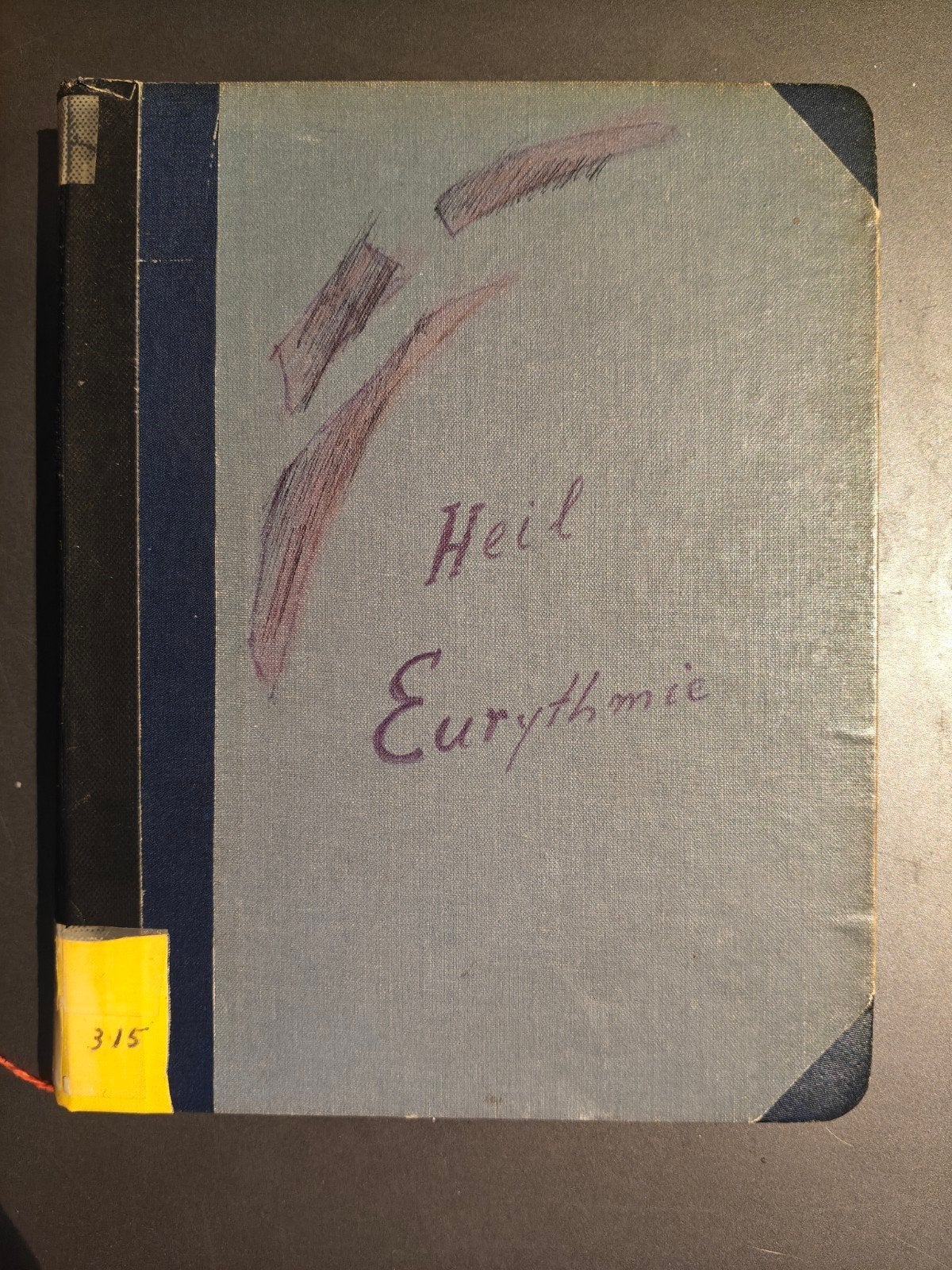 Heil Eurythmie - typoscript van voordrachten van Steiner, Ophalen of Verzenden, Gelezen, Overige onderwerpen, Achtergrond en Informatie