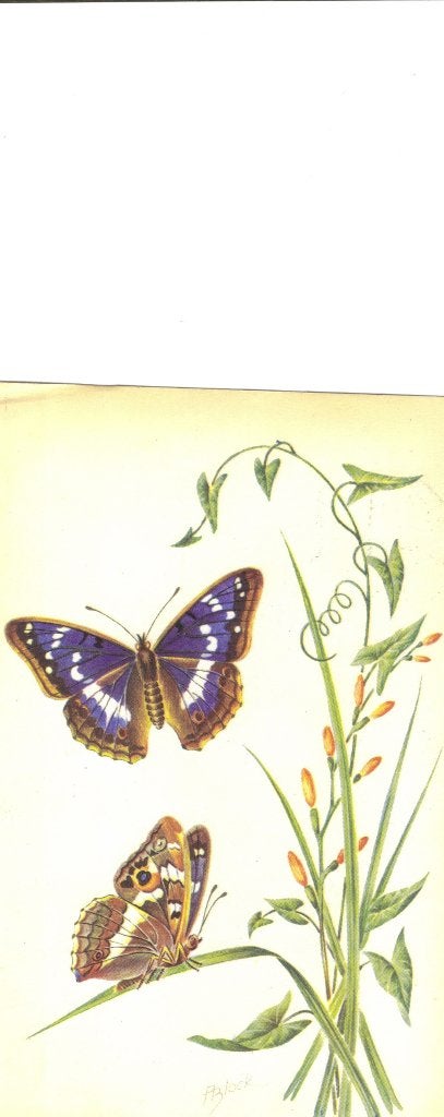 kaart Grote Weerschijnvlinder, Verzamelen, Ophalen of Verzenden, 1940 tot 1960, Gelopen, Overige soorten