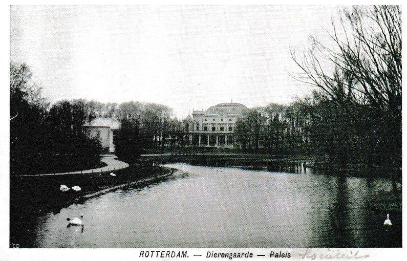 ROTTERDAM - DIERGAARDE - PALEIS, Ophalen of Verzenden, 1920 tot 1940, Ongelopen, Zuid-Holland