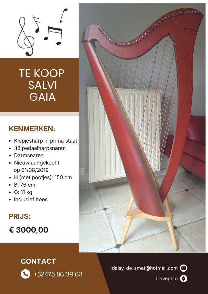 Harp Salva Gaia, Ophalen of Verzenden, Zo goed als nieuw