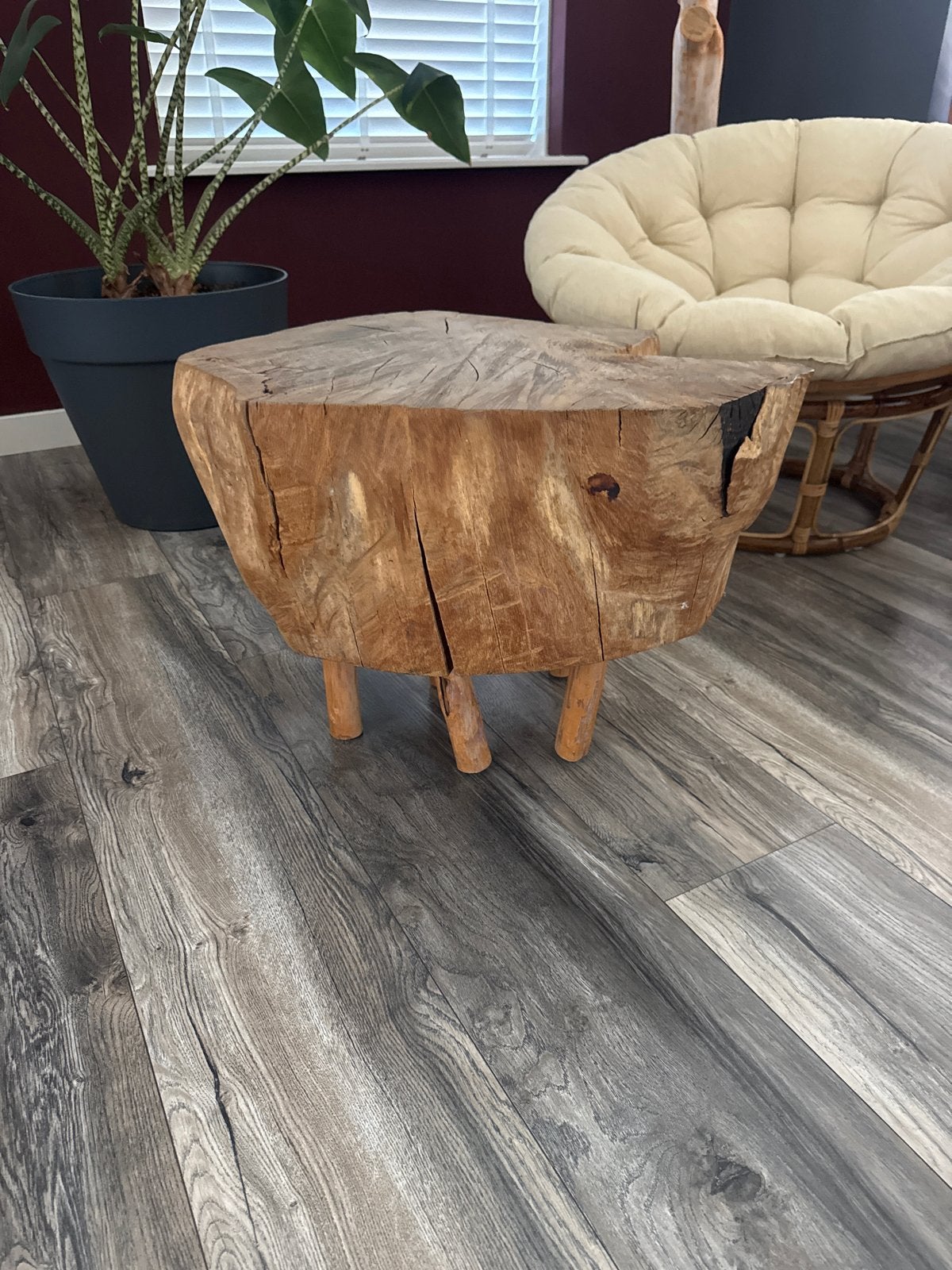 Unieke houten bijzettafel van boomstam, Minder dan 45 cm, Minder dan 55 cm, Gebruikt, Ophalen of Verzenden