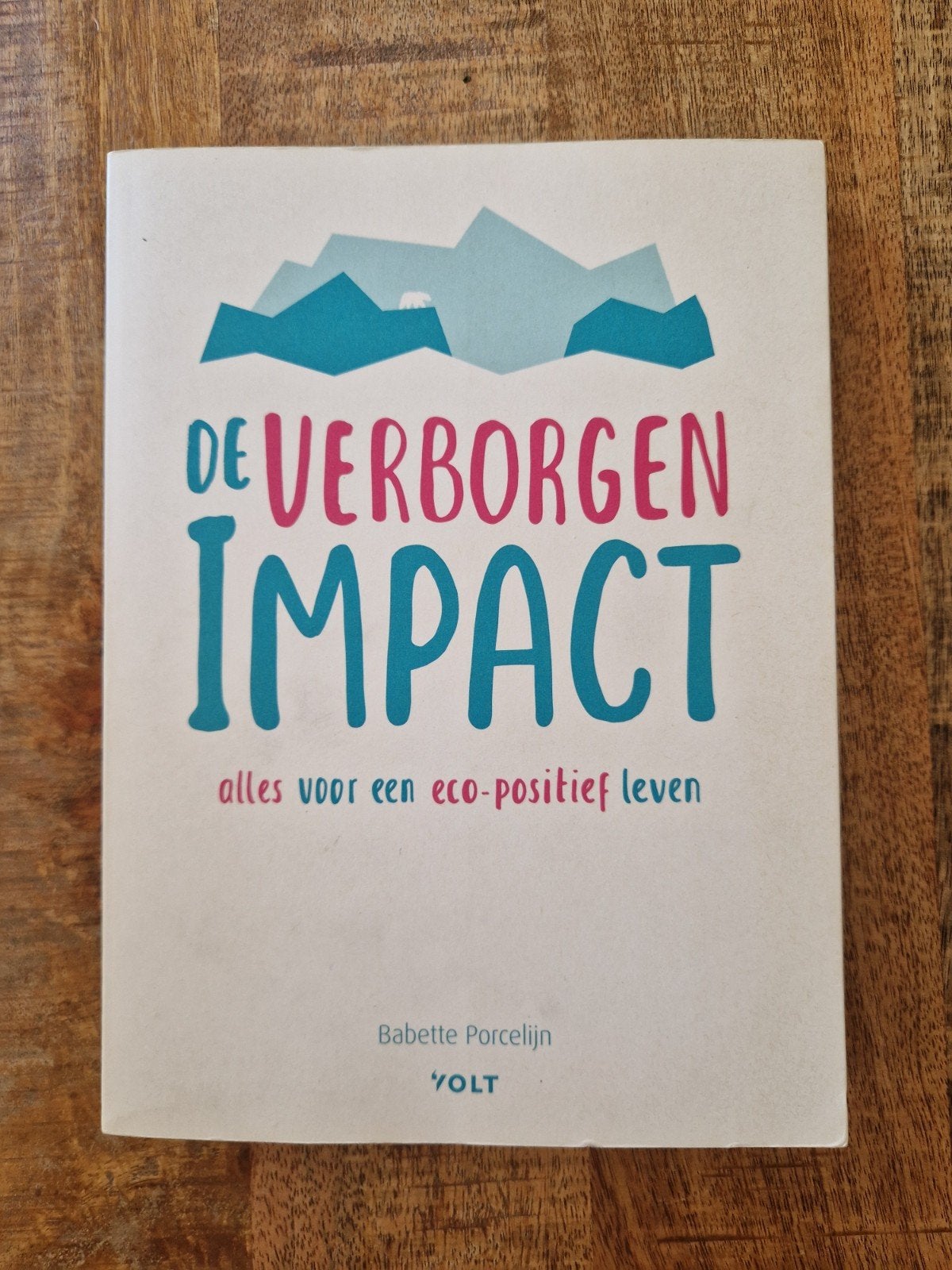 De Verborgen Impact - Babette Porcelijn, Babette Porcelijn, Ophalen of Verzenden, Zo goed als nieuw, Nederland