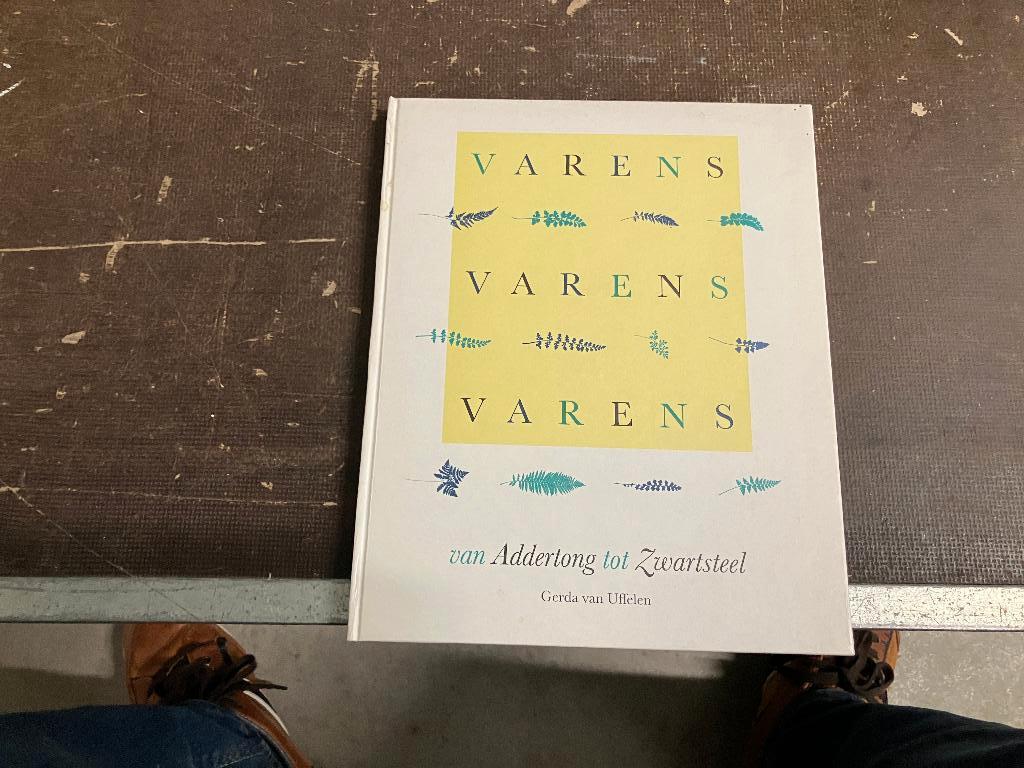 varens botanie hortus leiden, Vaste plant, Varens, Ophalen of Verzenden, Bloeit niet