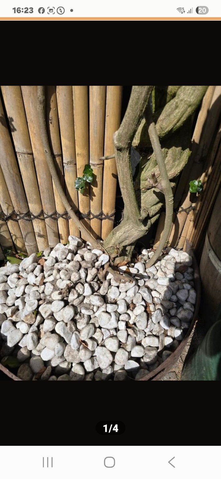 Luxe witte Carrara Keien 4-10 cm - nog 40 kg, Tuin en Terras, Bloembakken en Plantenbakken, Ophalen, Zo goed als nieuw, Rond, Minder dan 30 cm