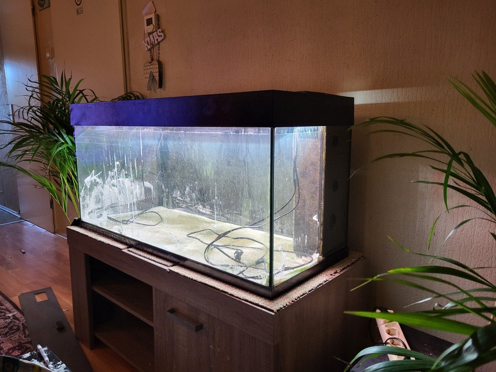 aquarium met juwel led verlichting en juwel filter, Ophalen, Gebruikt, Leeg aquarium, Juwel