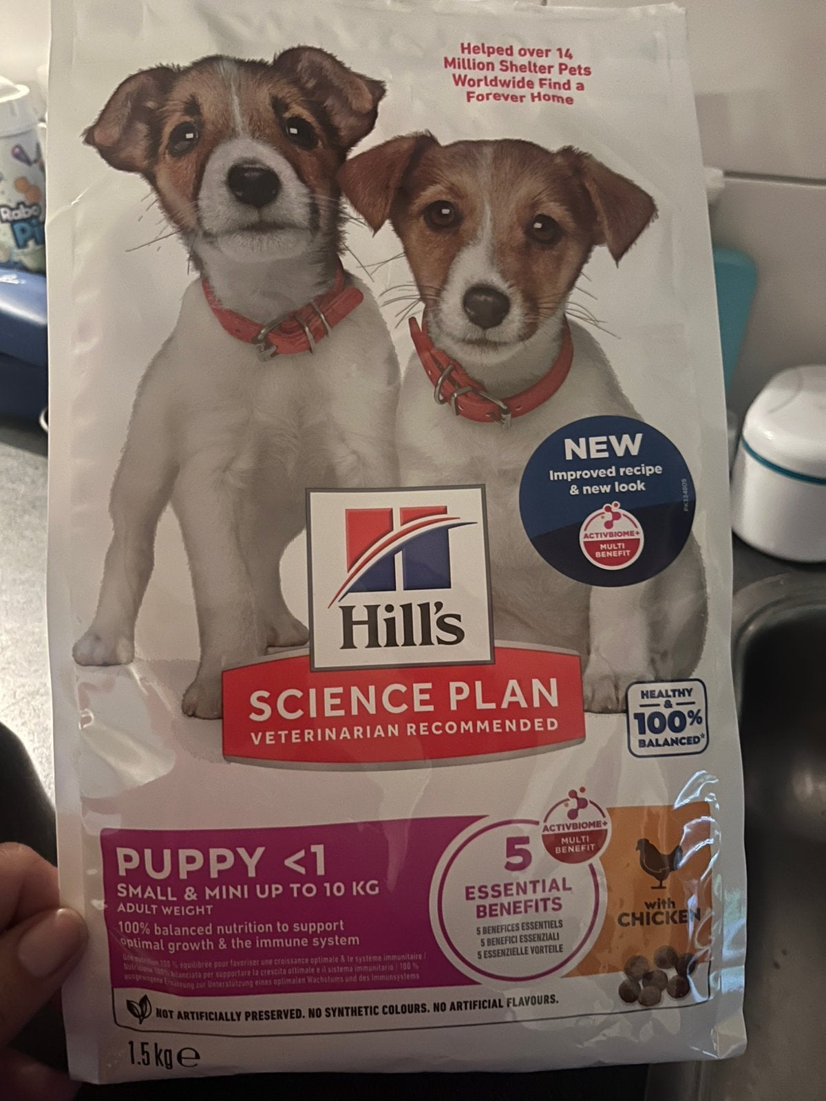 Hils pupy <10kg brokjes, Ophalen of Verzenden, Kat