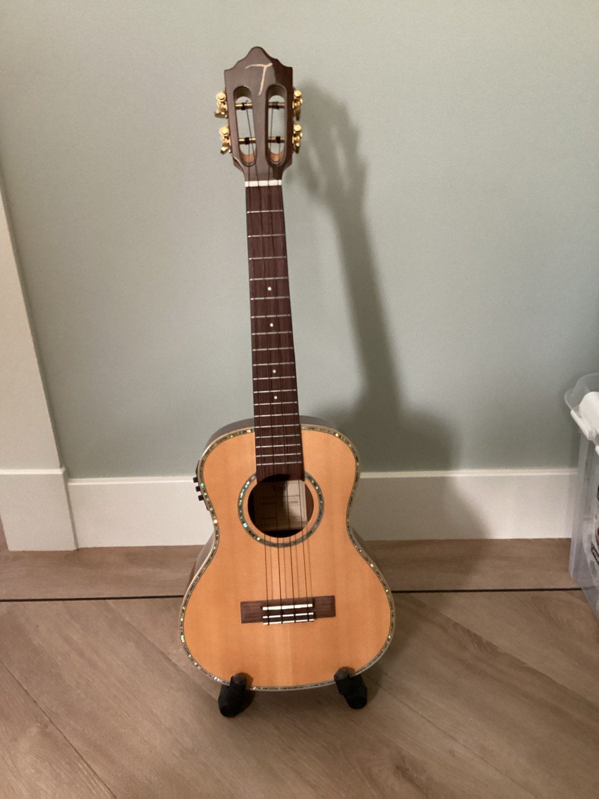 TOM Ukelele TUT-680M met hoes en standaard, Ophalen, Zo goed als nieuw, Ukelele