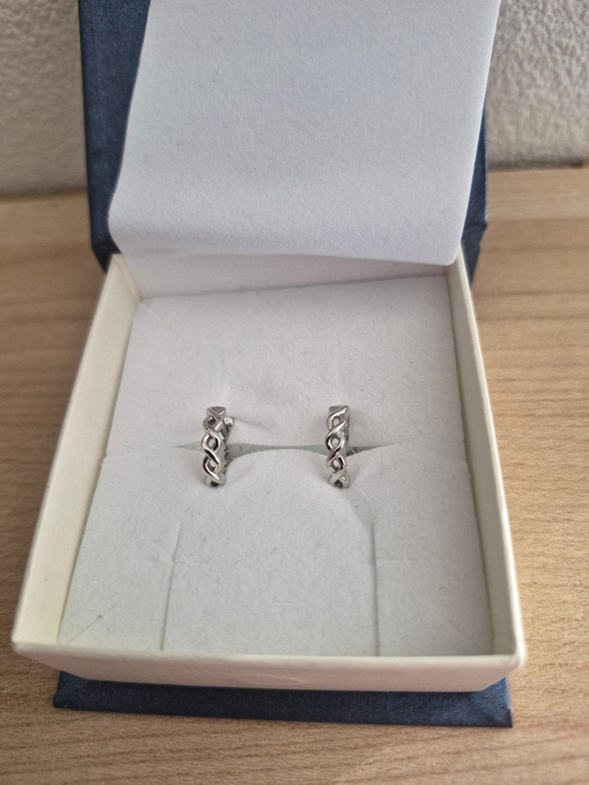 Nieuw! Zinzi oorringetjes infinity, Hangers, Nieuw, Ophalen of Verzenden, Zilver