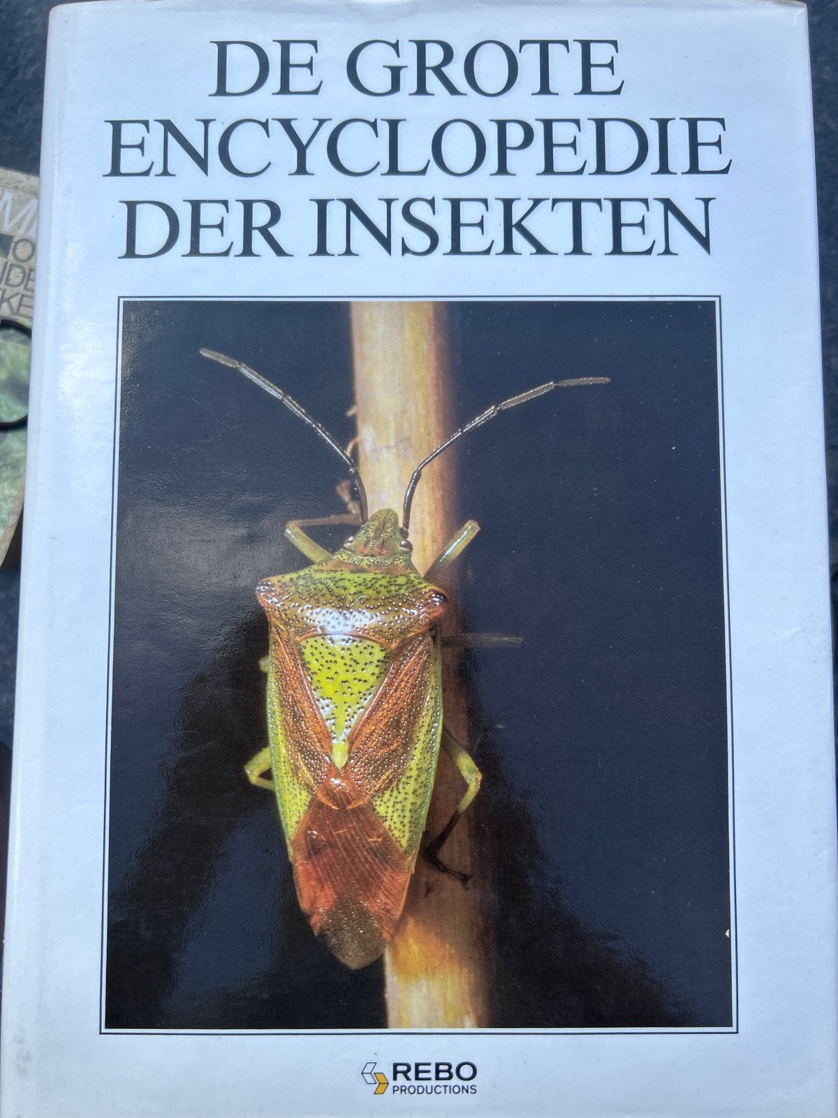 De Grote Encyclopedie der Insekten - Rebo Productions, Boeken, Encyclopedieën, Ophalen of Verzenden, Zo goed als nieuw, Dieren