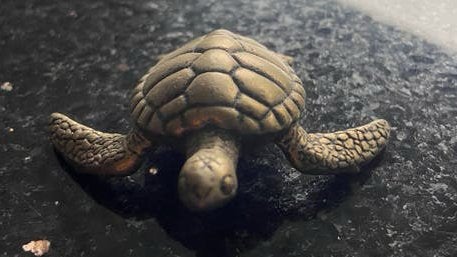 Schilpad 5 cm, Verzamelen, Ophalen of Verzenden, Zo goed als nieuw, Dier