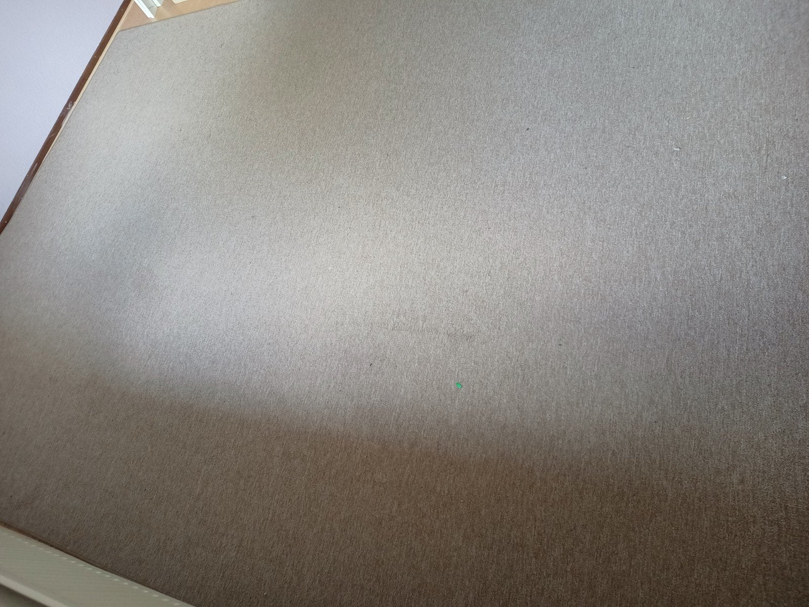 Vloerkleed beige 355x260, Ophalen, Beige, Rechthoekig, 200 cm of meer