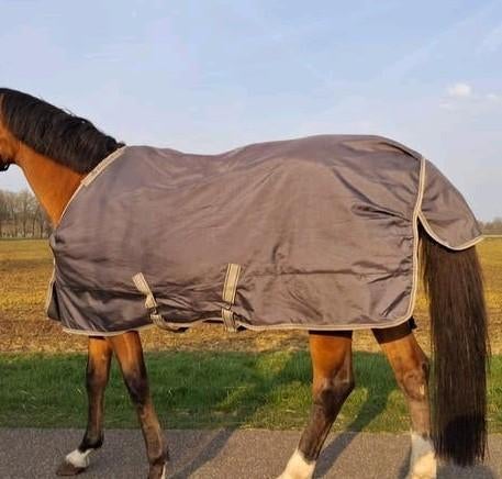 Bucas power turnout big neck deken, Ophalen, Gebruikt, Deken