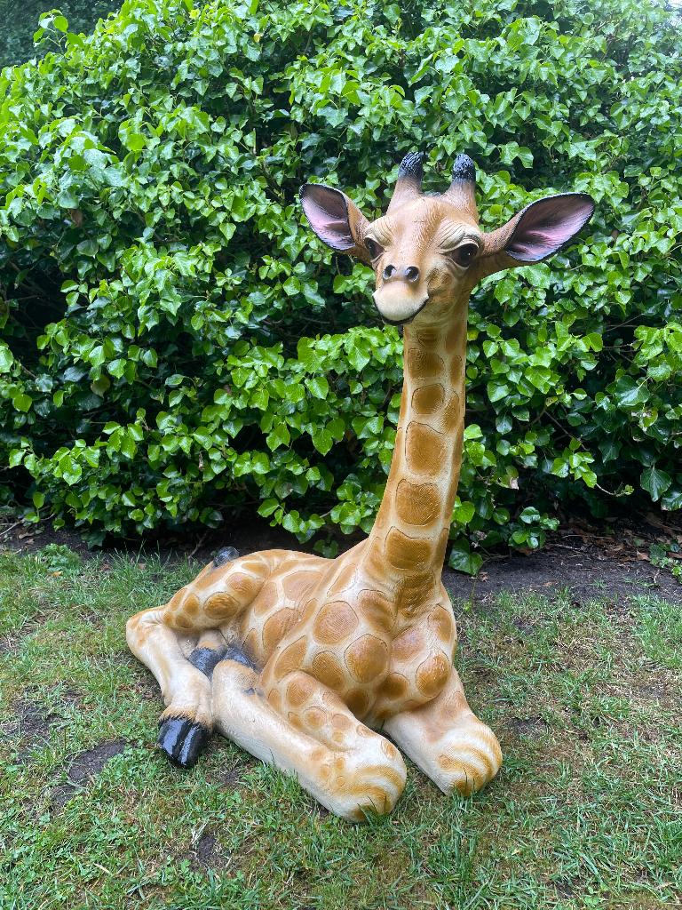 Beeld Giraf, giraffe, tuin, dieren, zwanger 80cm, Tuin en Terras, Ophalen, Nieuw, Kunststof, Dierenbeeld