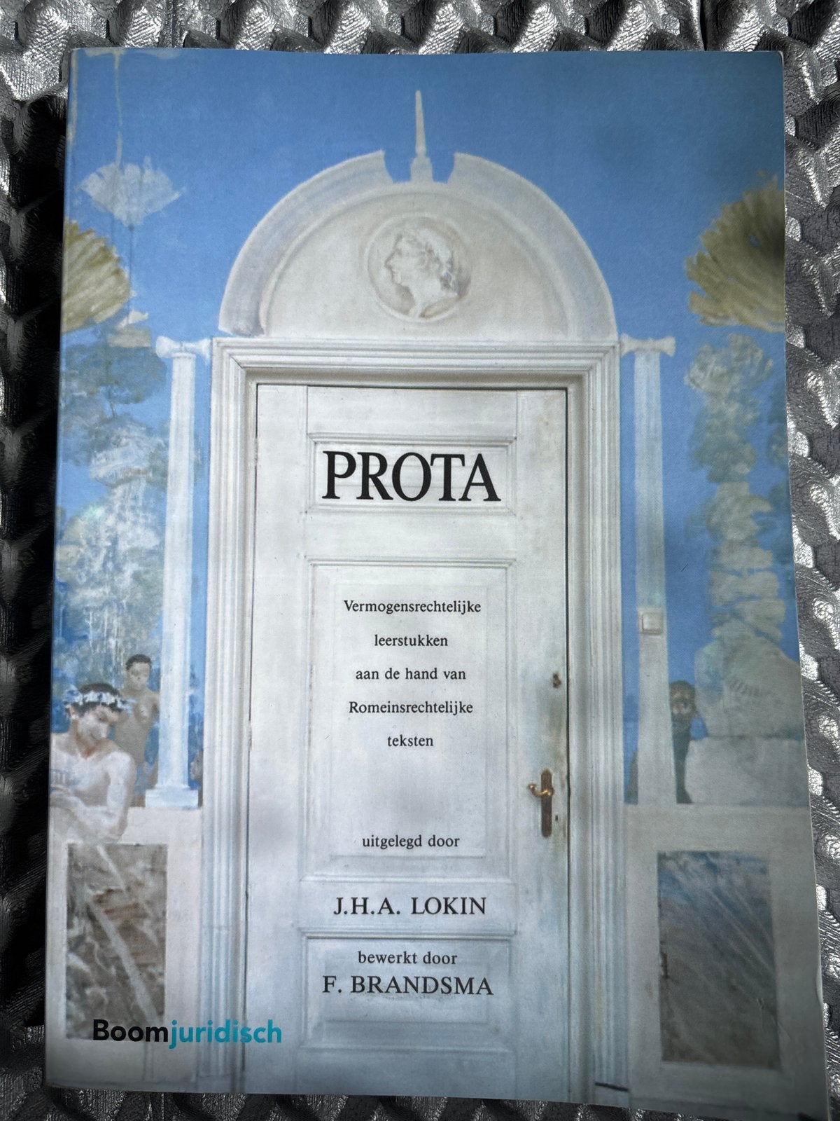 PROTA: Vermogensrechtelijke leerstukken - J.H.A. Lokin, Ophalen of Verzenden, Gamma, Gelezen, WO