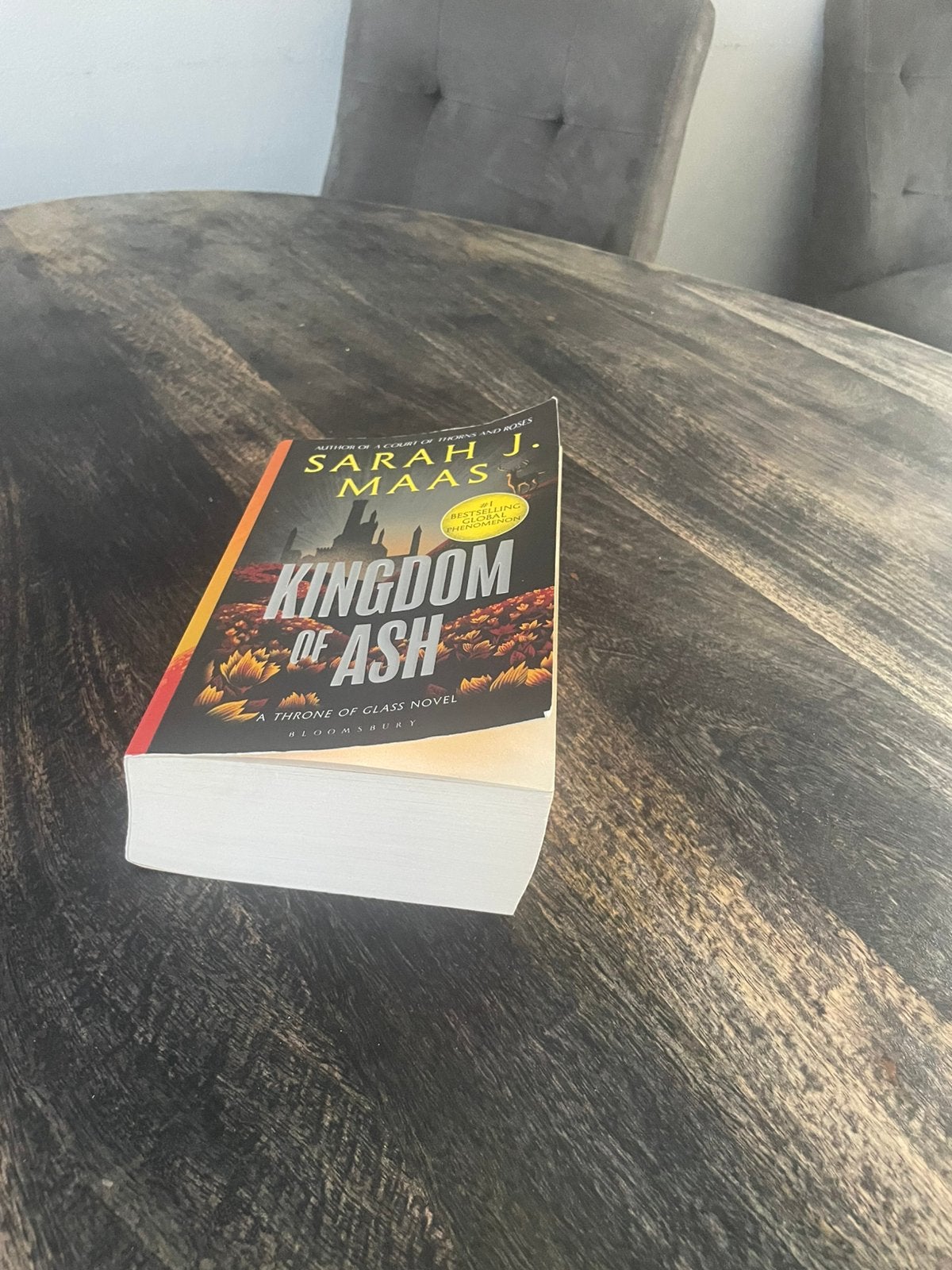 Kingdom of Ash, Boeken, Ophalen of Verzenden, Zo goed als nieuw