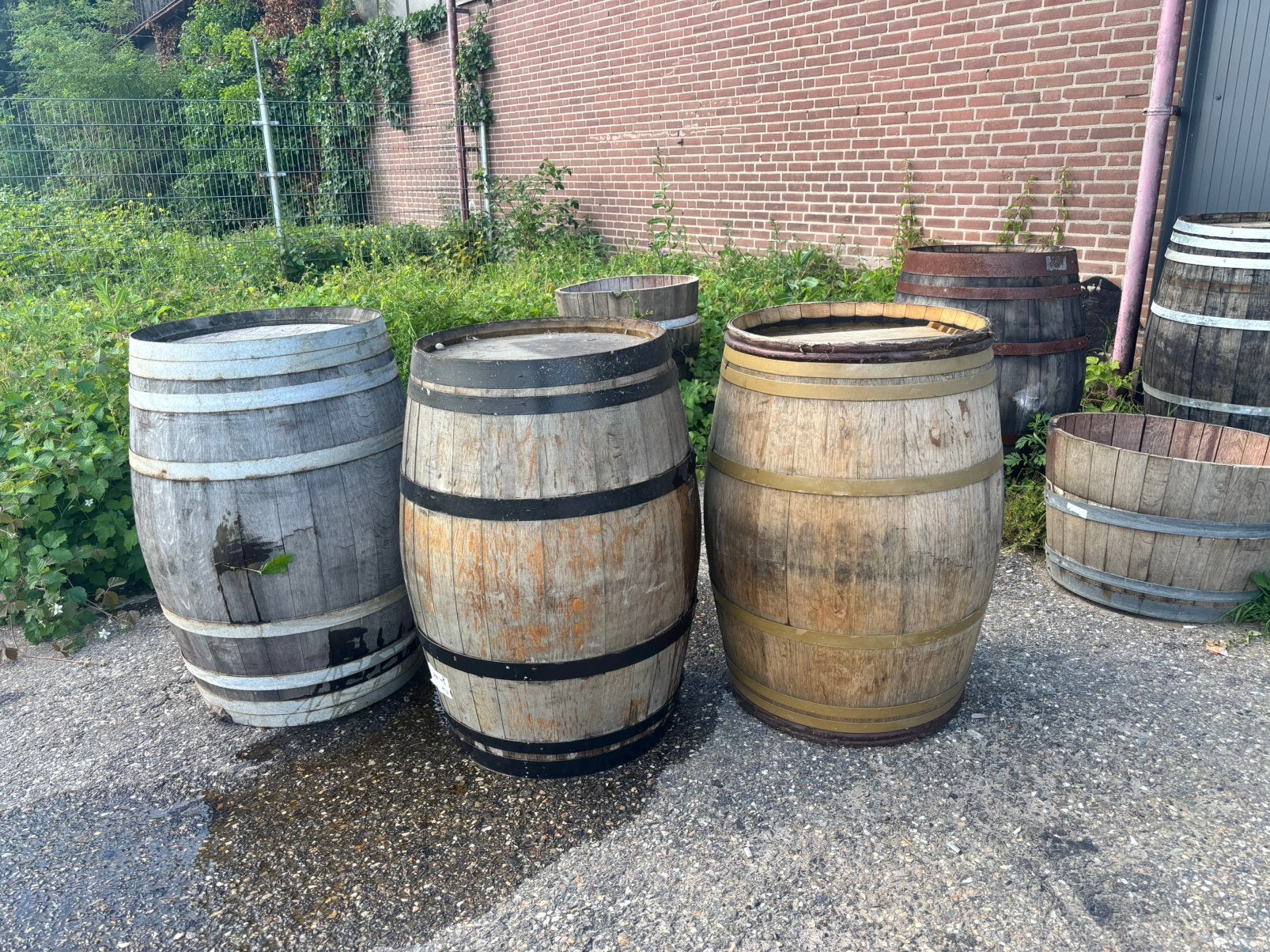 Houten regenton / wijnvat voor decoratie, Ophalen, Gebruikt, 150 liter of meer, Gg
