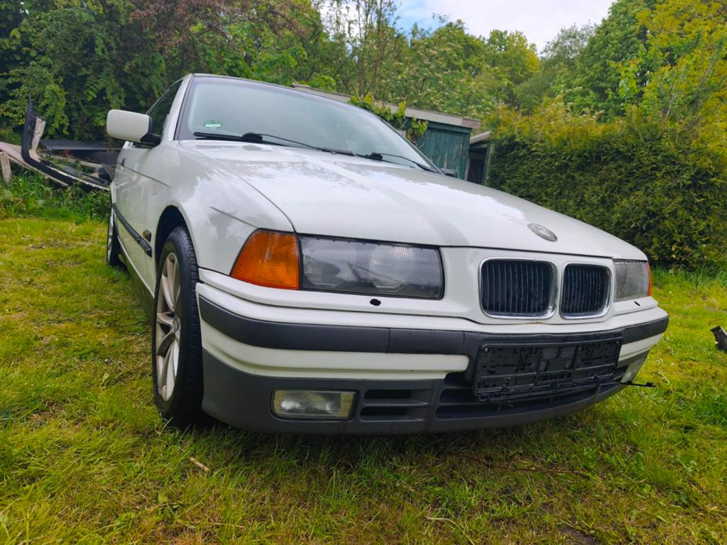 E36 316i alpin weiß, Ophalen