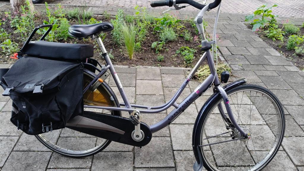 Te koop – Gazelle damesfiets / 7 versnellingen 57 cm, Gebruikt, Versnellingen, Gazelle, 56 cm of meer