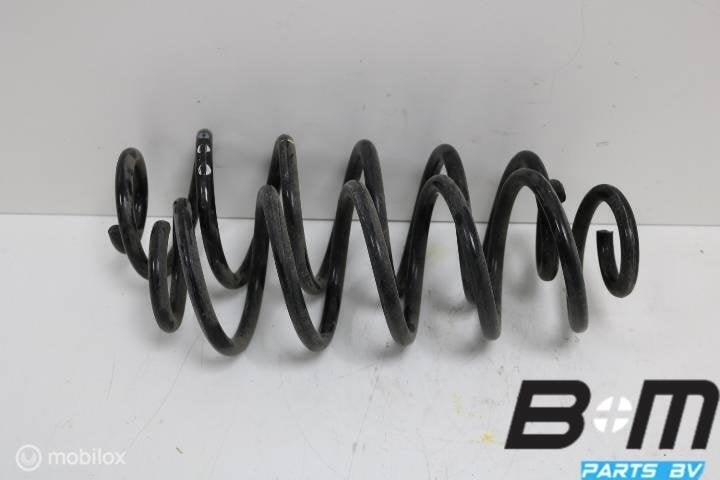 Set achterveren Audi A5 8T 8K0511115GT, Gebruikt