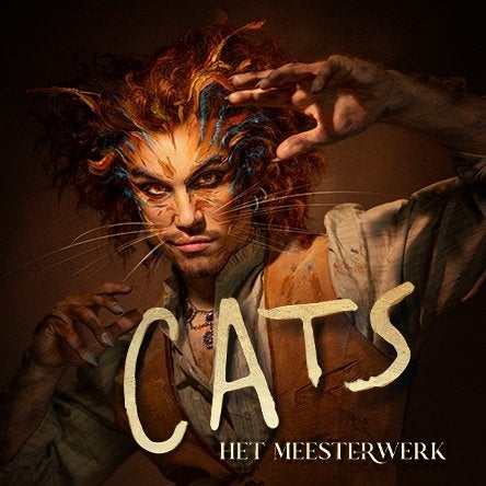 Cats musical 11 oktober, Tickets en Kaartjes, Eén persoon, Oktober