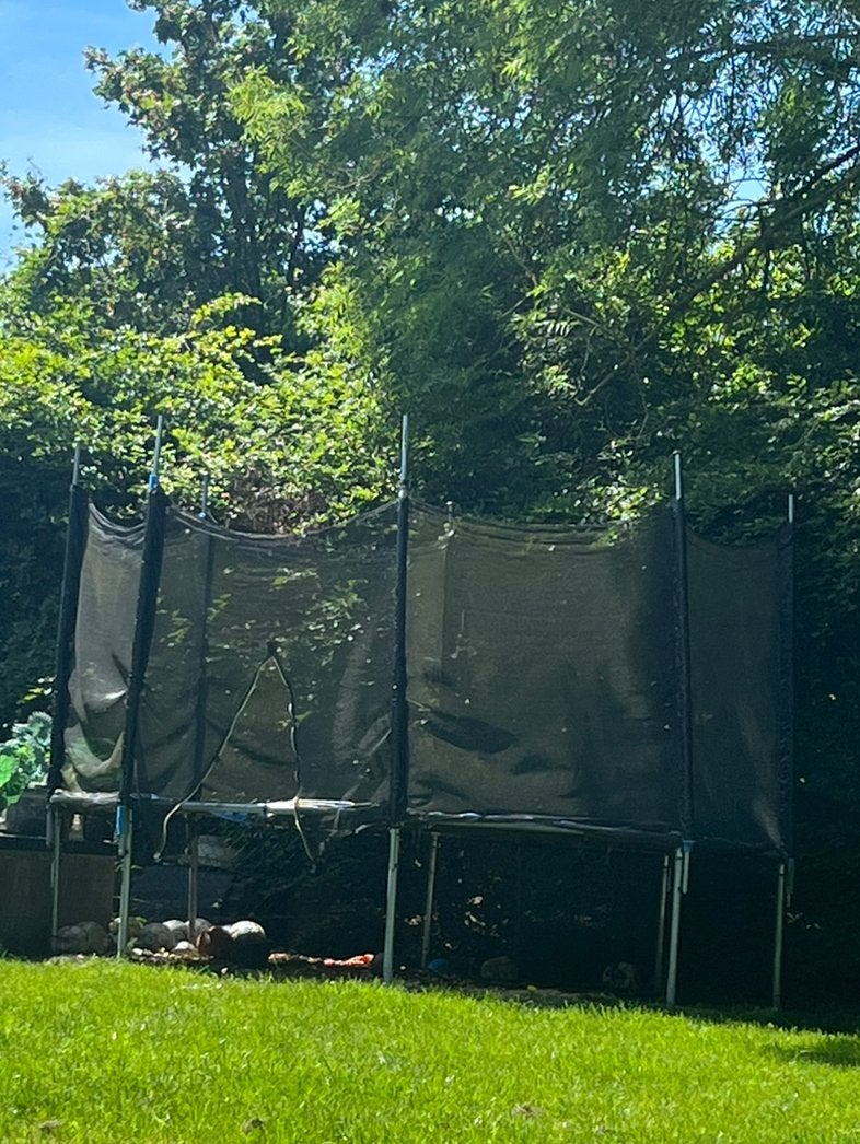 Trampoline zon 4,30 doorsnede, Ophalen, Bloeit niet, Volle zon, Overige soorten
