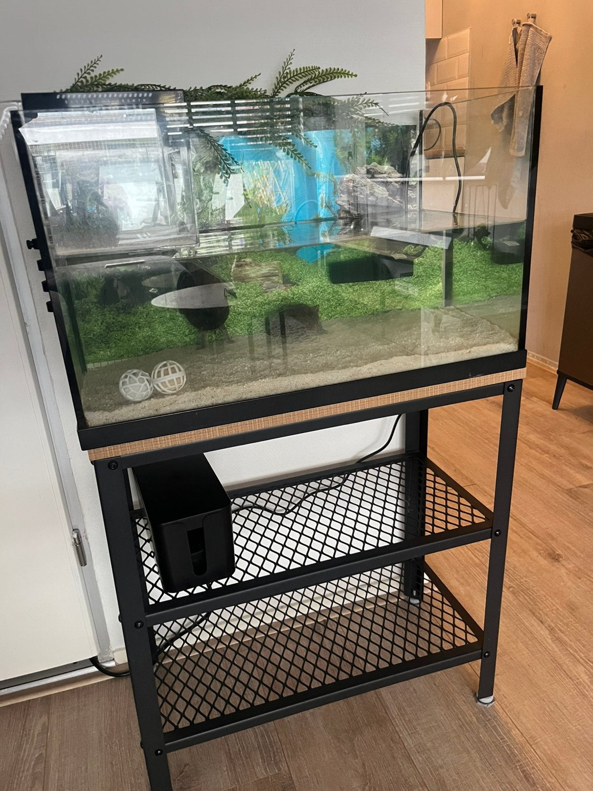 2 waterschildpadden met aquarium en toebehoren